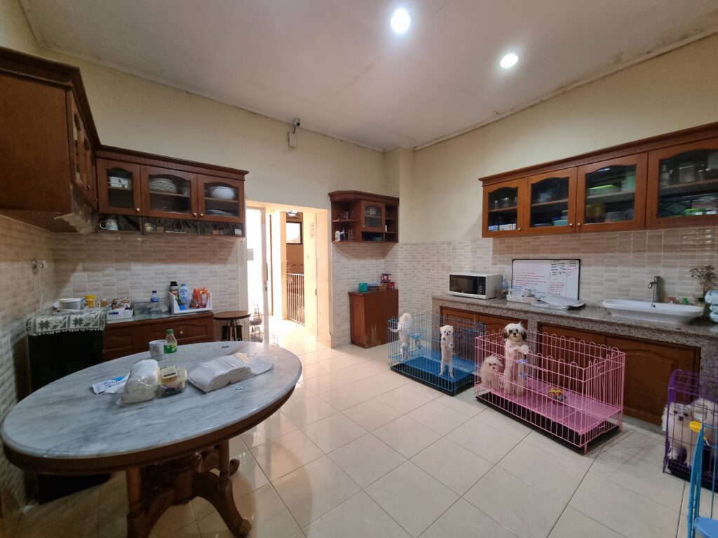 Rumah Siap Huni Duri Kepa Jakarta BaratRumah Siap Huni Duri Kepa Jakarta Barat